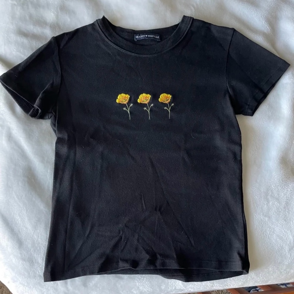 Brandy Melville Crop Top